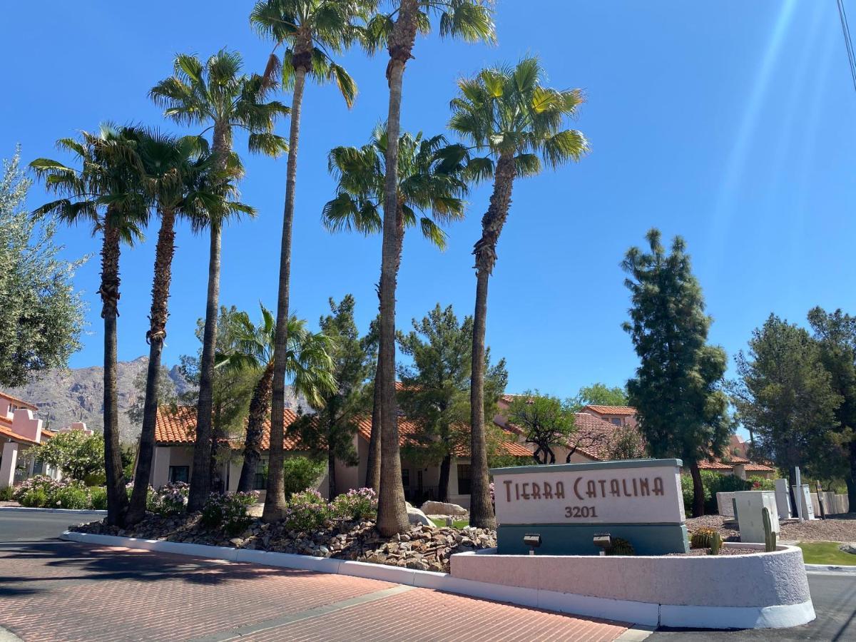 Catalina @ Laencantada - Az